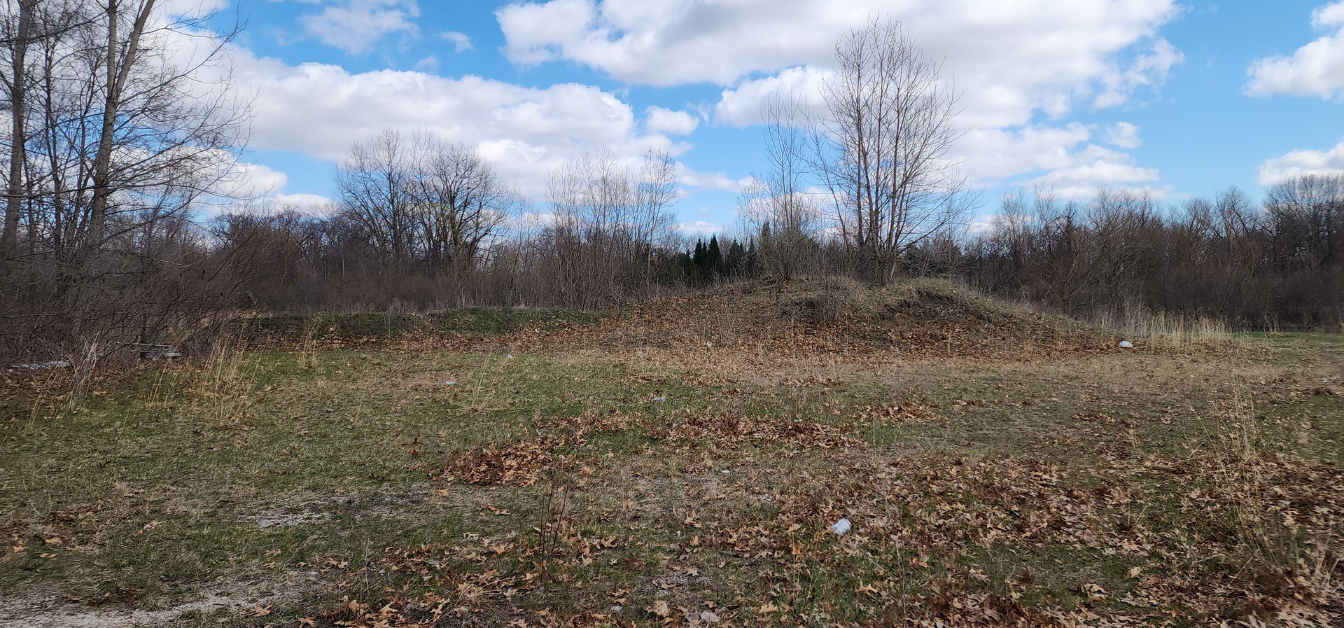 574 Caleb Road Braidwood, IL 60408 - Photo 12 of 25
