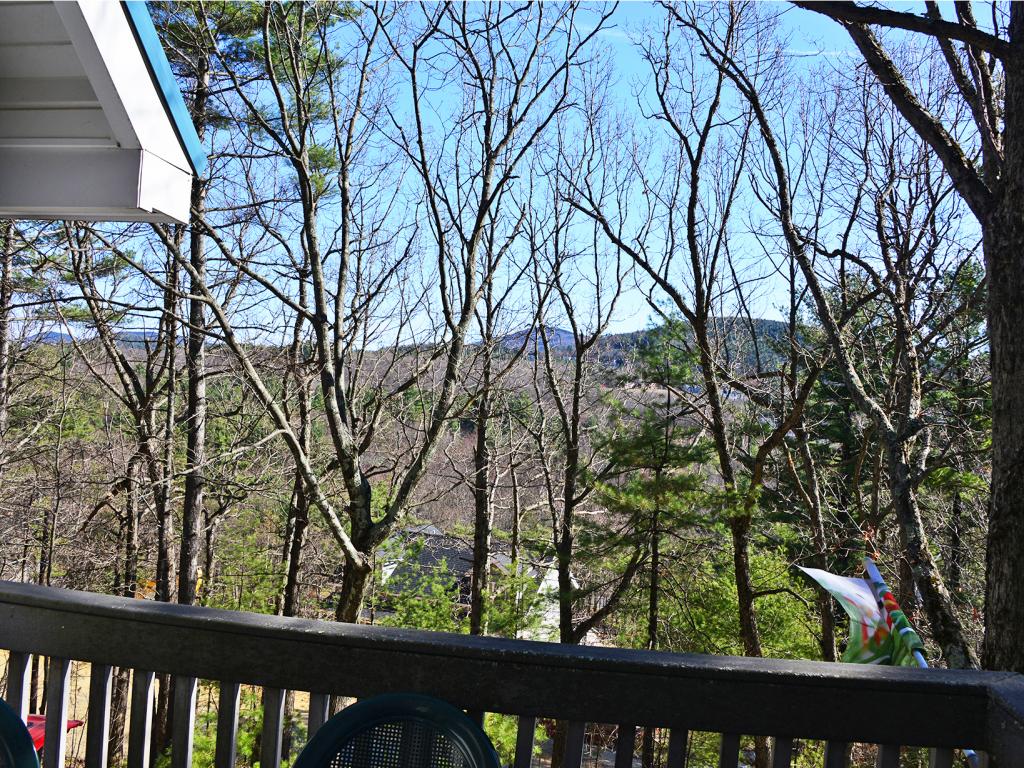 29 Foxglove Road Gilford, NH 03249 - Photo 2 of 30
