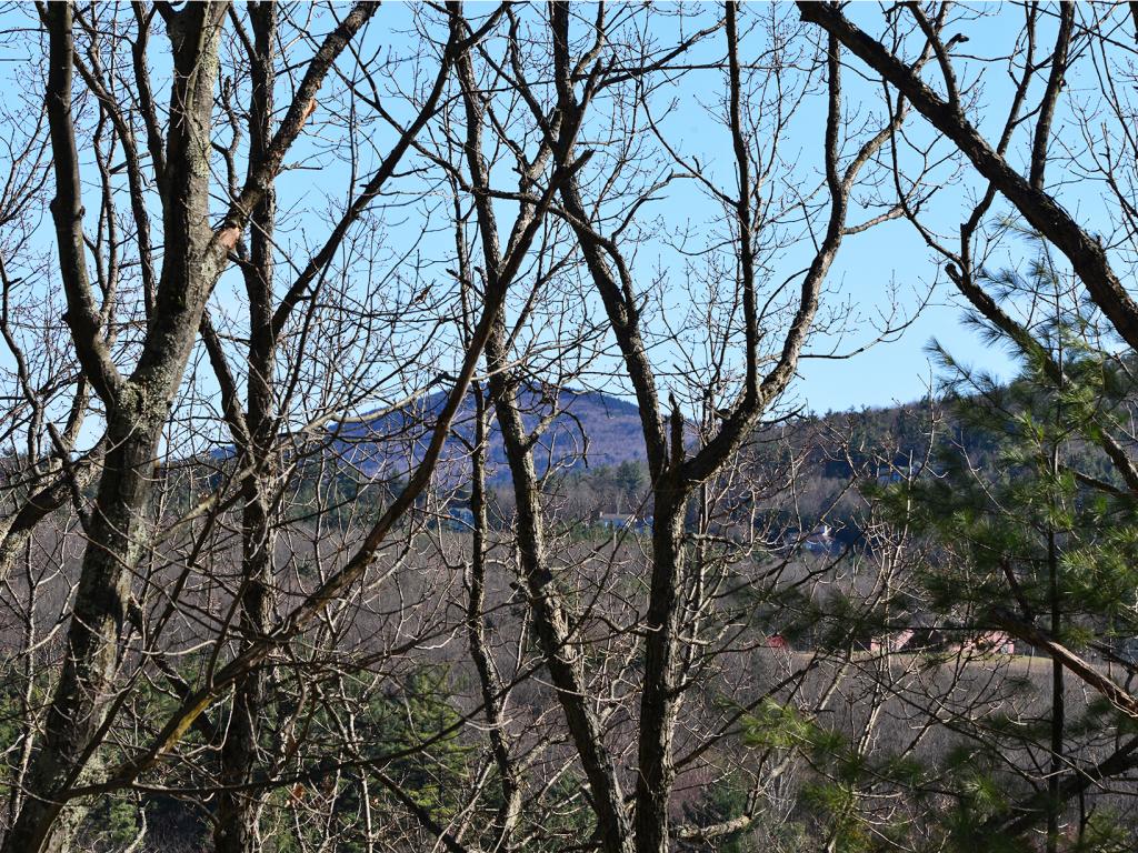29 Foxglove Road Gilford, NH 03249 - Photo 21 of 30