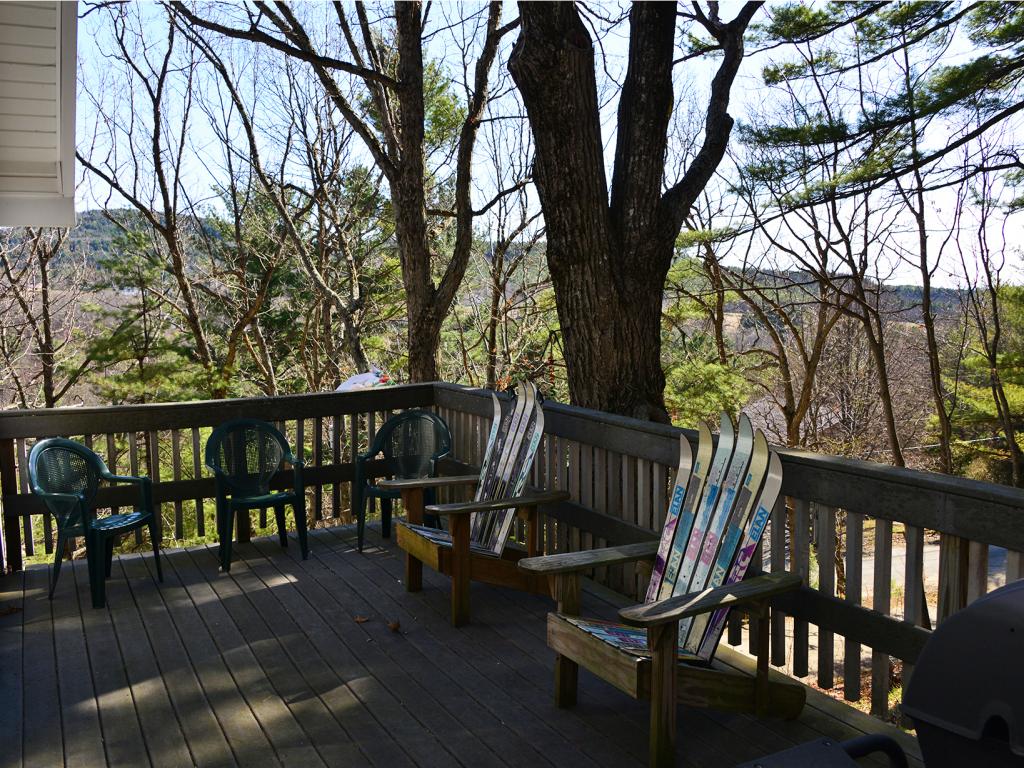 29 Foxglove Road Gilford, NH 03249 - Photo 4 of 30