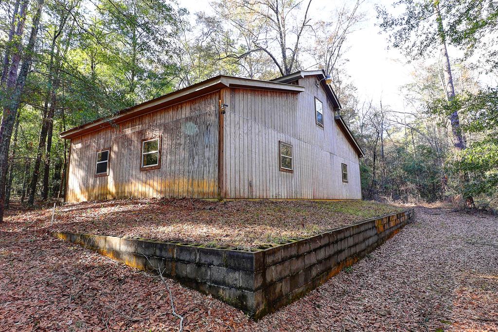319 County Road Midland City, AL 36350 - Photo 31 of 31