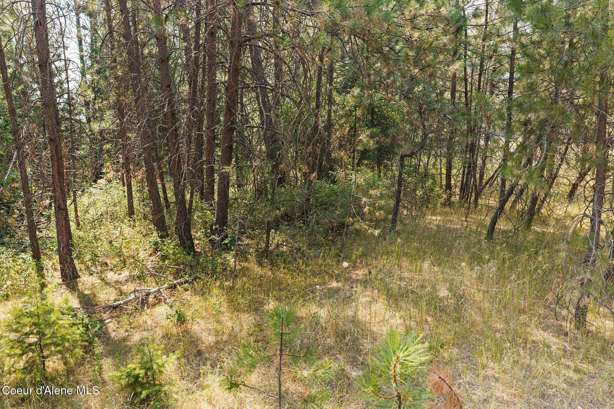 53 West Highway 53 Rathdrum, ID 83858 - Photo 20 of 26 Vacant Land