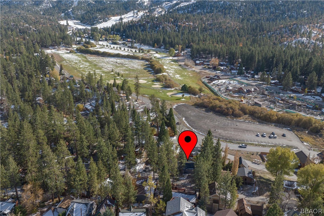 42897 Encino Road Big Bear Lake, CA 92315 - Photo 6 of 45 a view of outdoor space and yard