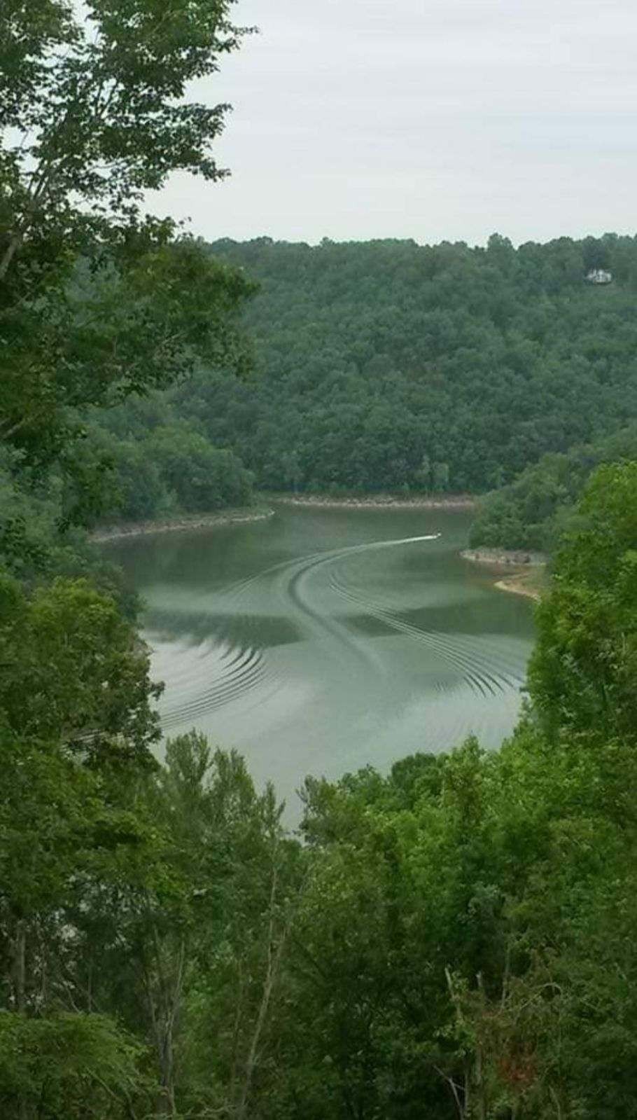 10035 Water Plant Road Baxter, TN 38544 - Photo 27 of 37 a view of a lake with a city