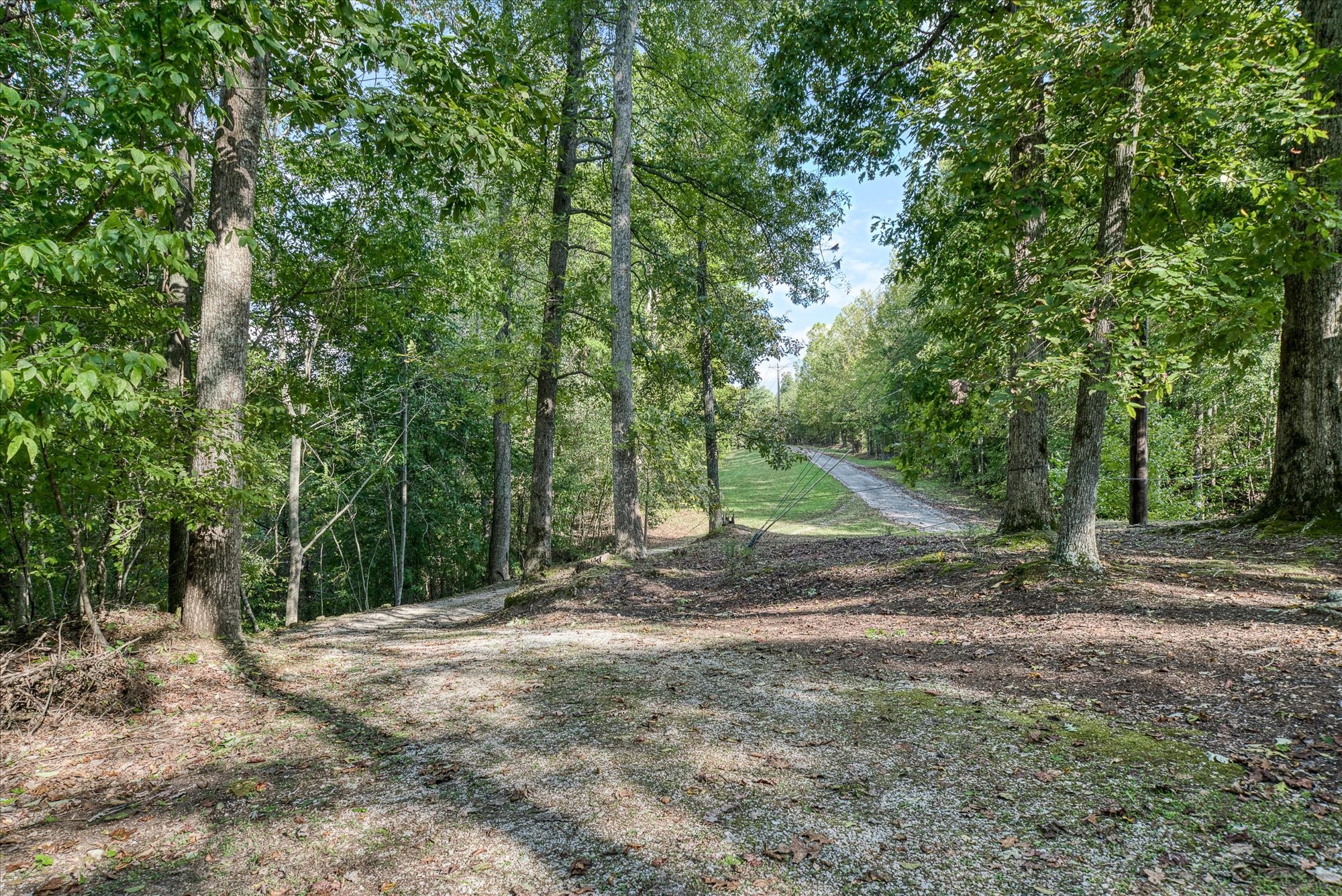 10035 Water Plant Road Baxter, TN 38544 - Photo 30 of 37 a view of a backyard with trees