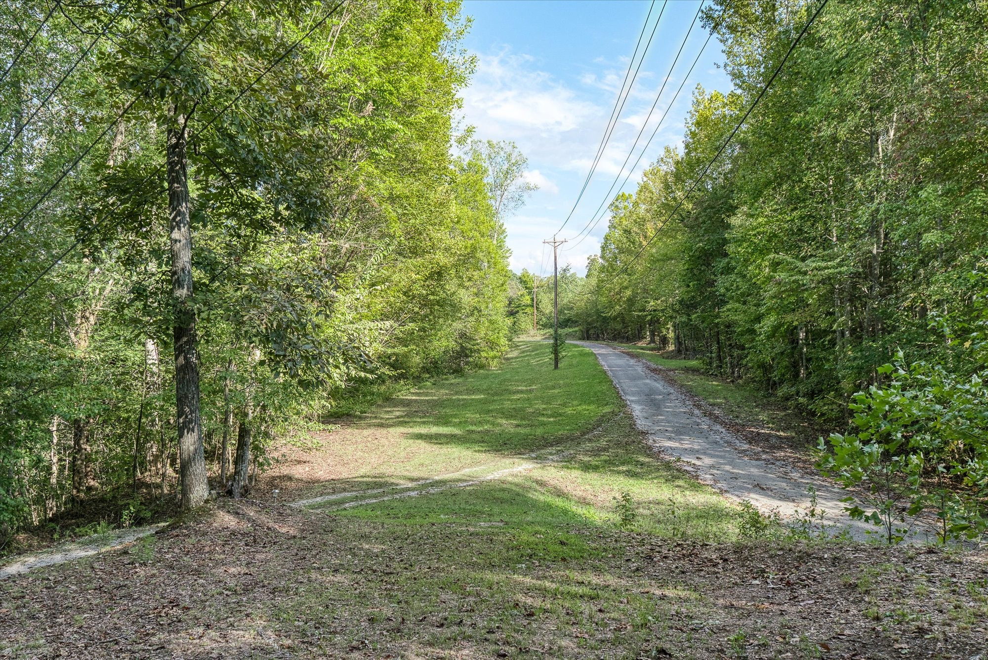 10035 Water Plant Road Baxter, TN 38544 - Photo 31 of 37 a view of a yard with a tree