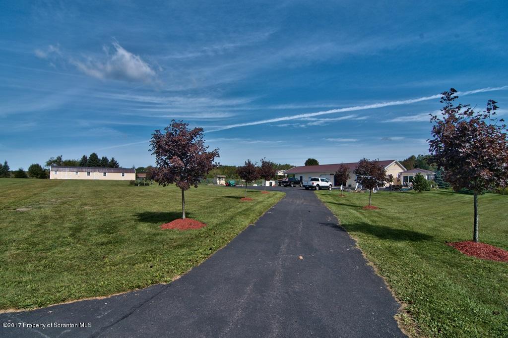 2325 Aberdeen Road Moscow, PA 18444 - Photo 41 of 43 a view of a park with large trees