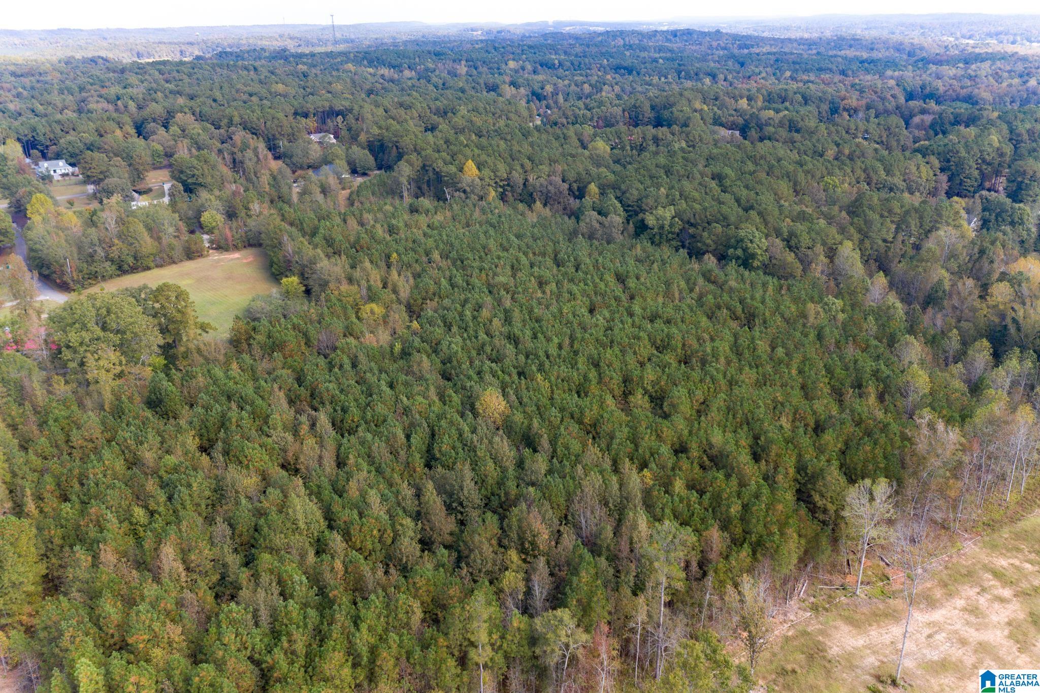 0 Olde S Spur McCalla, AL 35111 - Photo 8 of 25