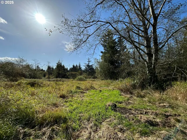 a view of a yard with a tree