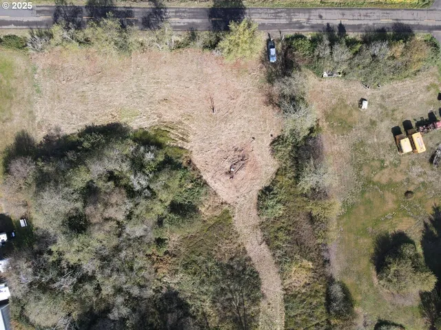 a view of a forest with a yard