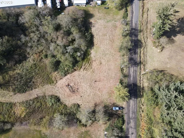 a view of a pathway of a yard