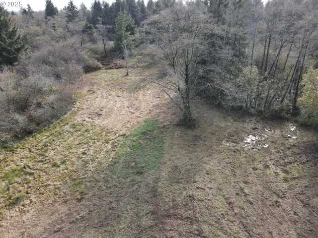 a view of a dry yard space with trees all around
