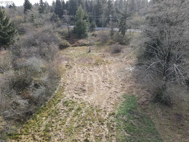 a view of a dry yard with trees