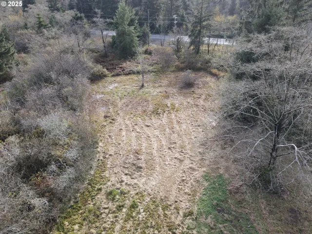 a view of a dry yard with trees
