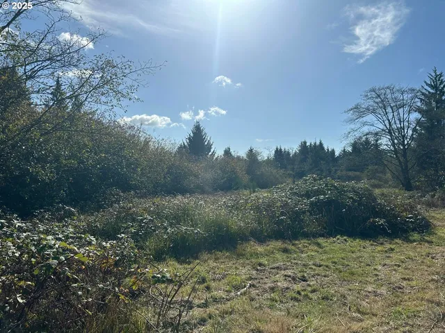 a view of a yard with a tree