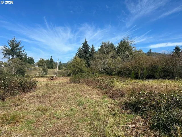 a view of a field of grass and trees