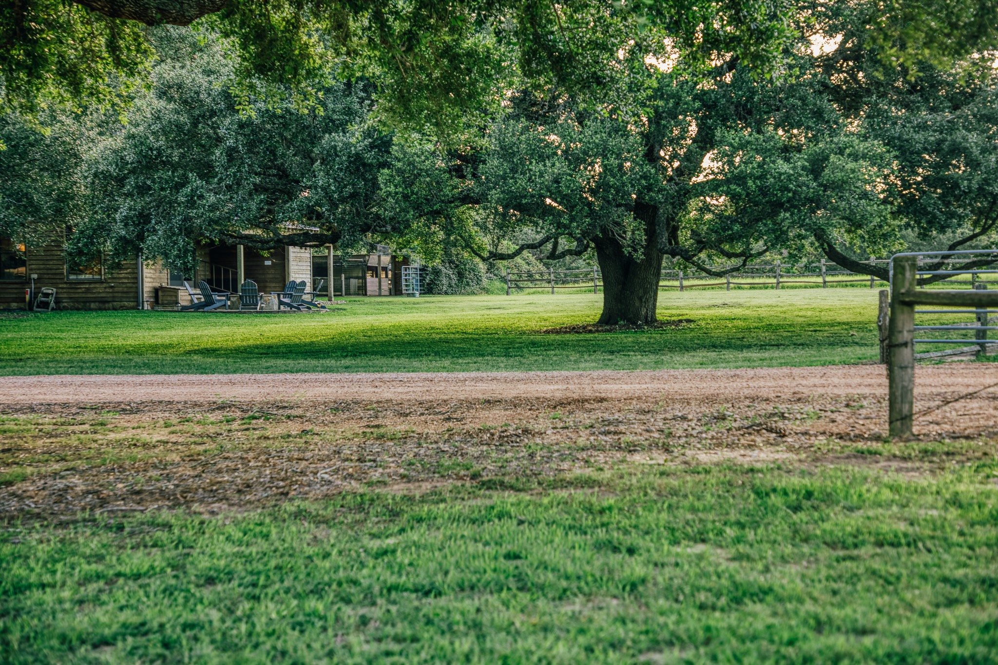 1034 Hilbun Road New Ulm, TX 78950 - Photo 35 of 49