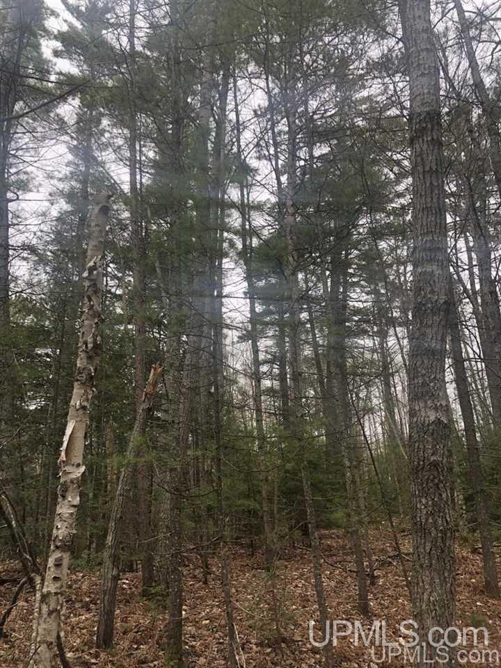 36.5 Shores Road, Unit 22 Manistique, MI 49854 - Photo 8 of 11