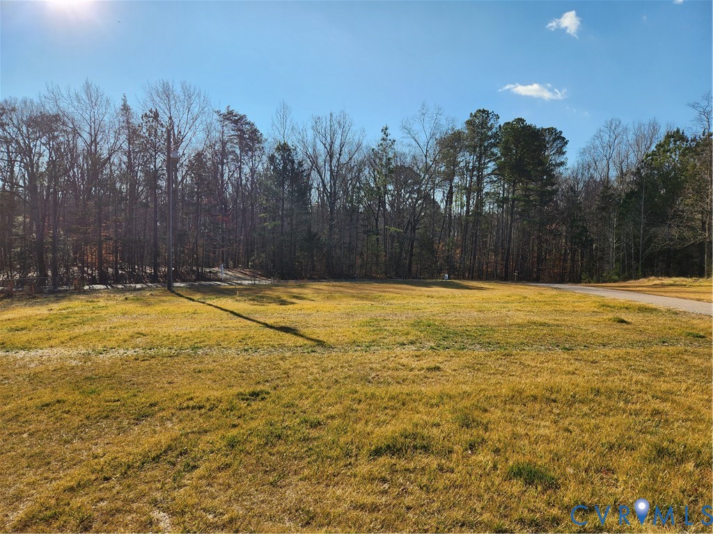 16266 Union Church Road Beaverdam, VA 23015 - Photo 41 of 42 View from the front porch.