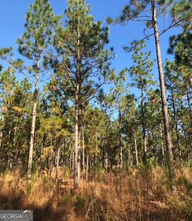 $778,222 | 1400 Mt Olive Road, Dublin, GA 31021