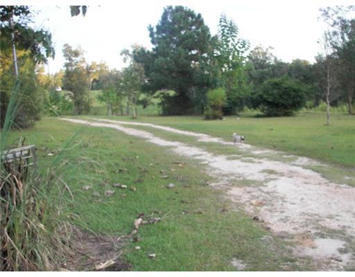 2785 Forrest Breland Road Neely, MS 39461 - Photo 10 of 11 Additional Photo