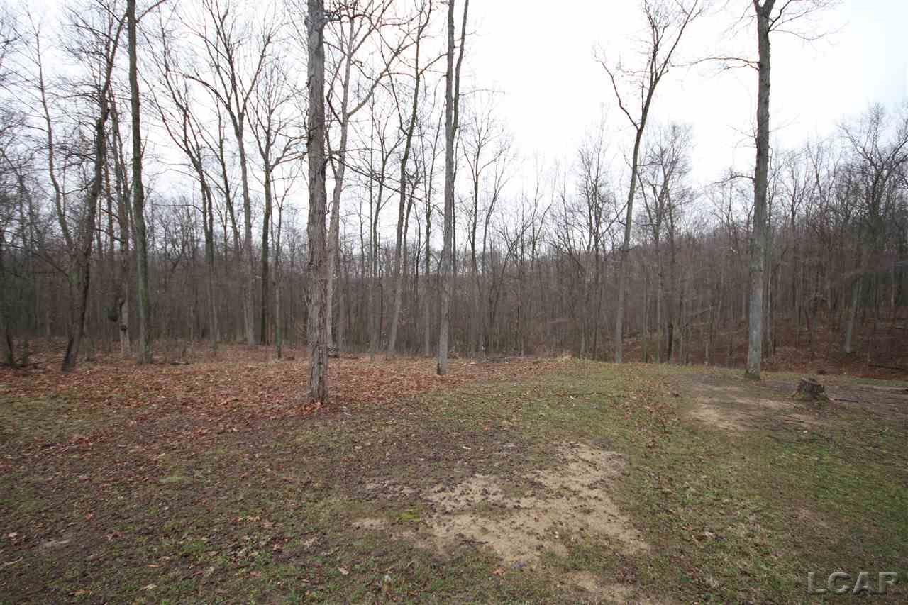 10008 Baker Road Jerome, MI 49249 - Photo 18 of 19