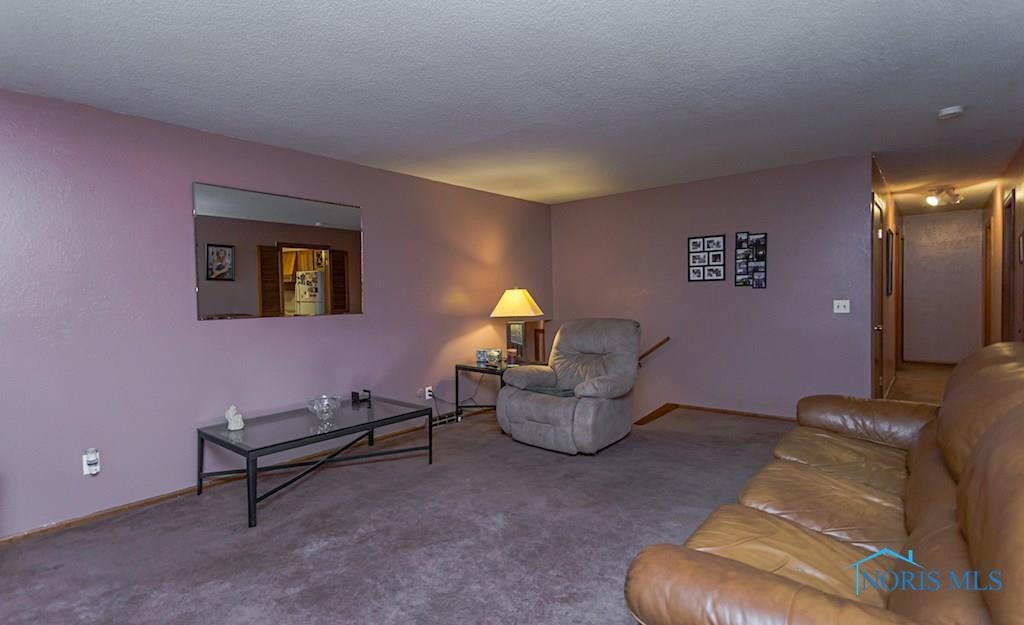 1195 Craig Road Maumee, OH 43537 - Photo 17 of 36 Gallery Image 17