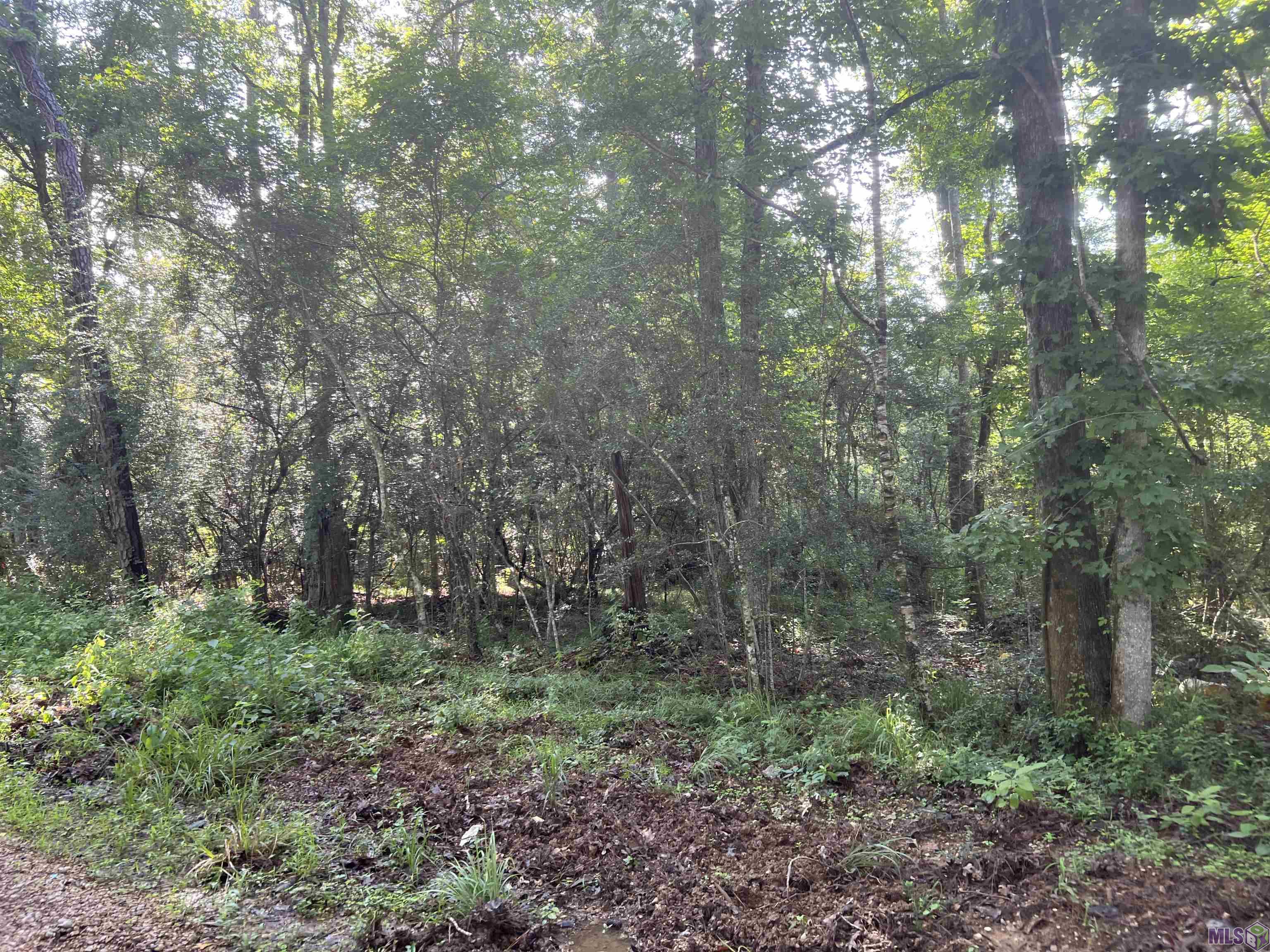 Lot 4 Hepzibah Road Clinton, LA 70722 - Photo 5 of 6