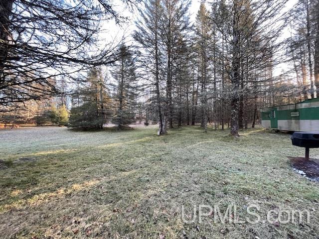 11810 East Howen Road Long Lake, WI 54542 - Photo 12 of 21