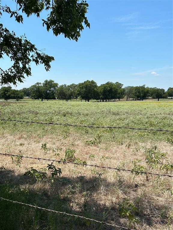 1170 Airport Road Tioga, TX 76271 - Photo 3 of 14 Property surrounded by trees