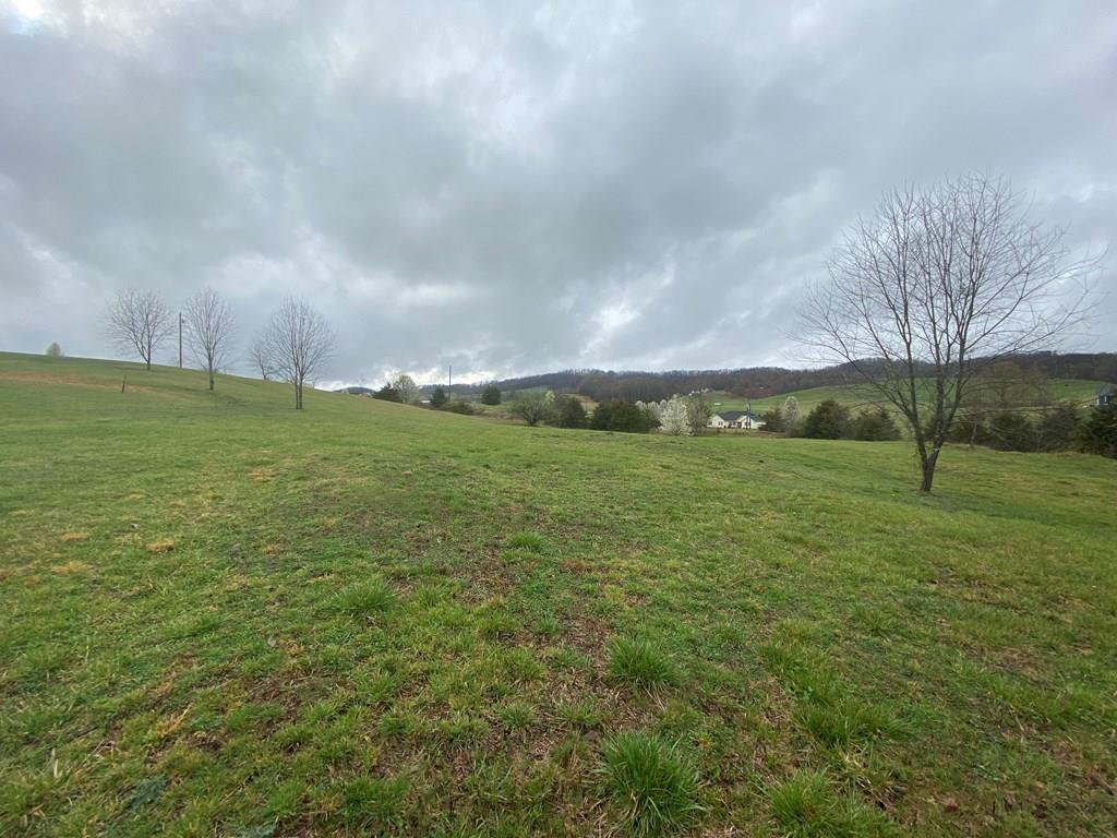 0 Reedy Creek Road, Unit 1 Bristol, VA 24201 - Photo 1 of 14 Gallery Image 1