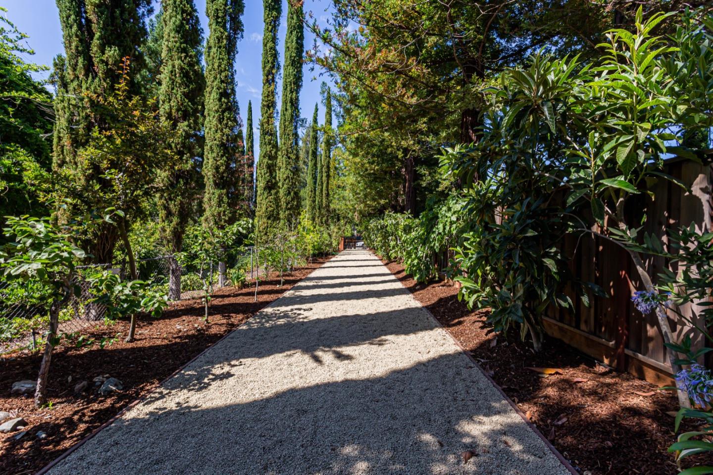 11 A Cowell Lane Atherton, CA 94027 - Photo 34 of 35 a view of a yard with plants and large trees