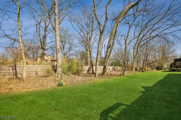 a view of yard with tree