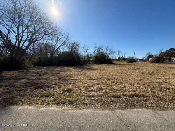 $7,500 | Off Of Franklin Street, Mount Olive, NC 28365
