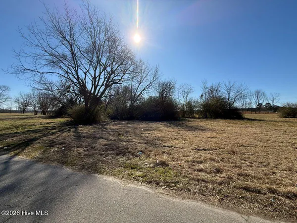 $7,500 | Off Of Franklin Street, Mount Olive, NC 28365