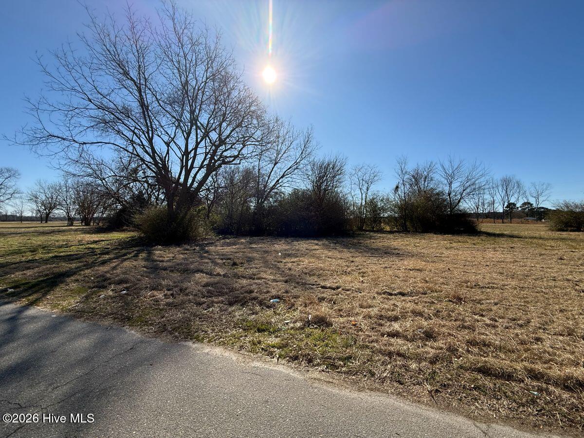 Off Of Franklin Street Mount Olive, NC 28365 - Photo 18 of 22 18