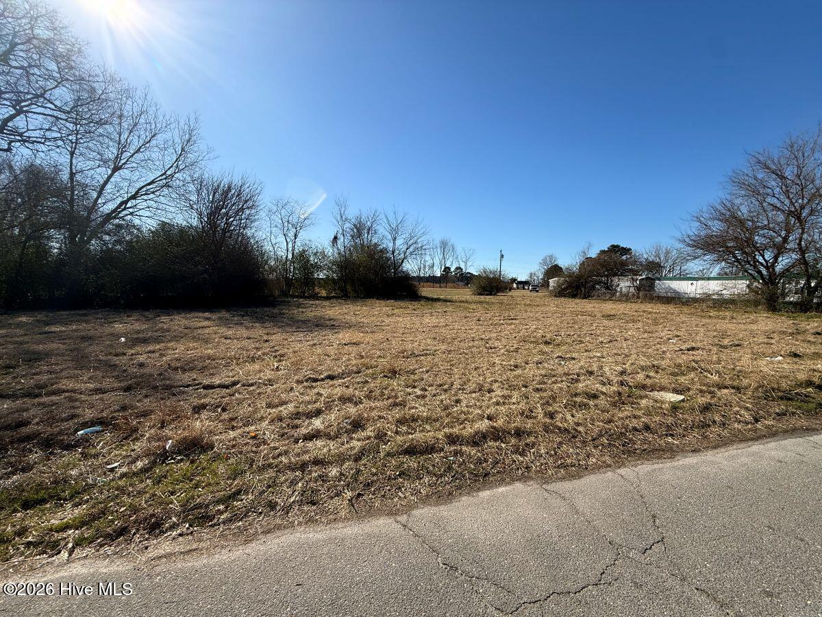 Off Of Franklin Street Mount Olive, NC 28365 - Photo 19 of 22 19