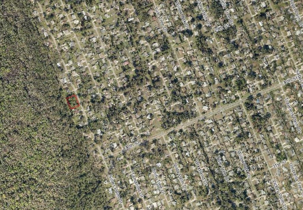 Silver Palm Drive Edgewater, FL 32141 - Photo 5 of 8