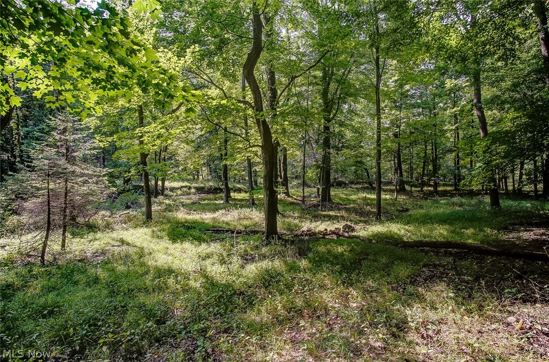 3444 Verner Road Kent, OH 44240 - Photo 10 of 23