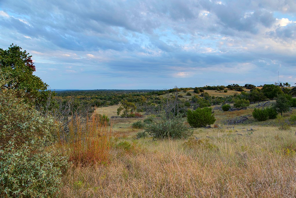 4551 Reeh Road Fredericksburg, TX 78624 - Photo 4 of 69 Gallery Image 4