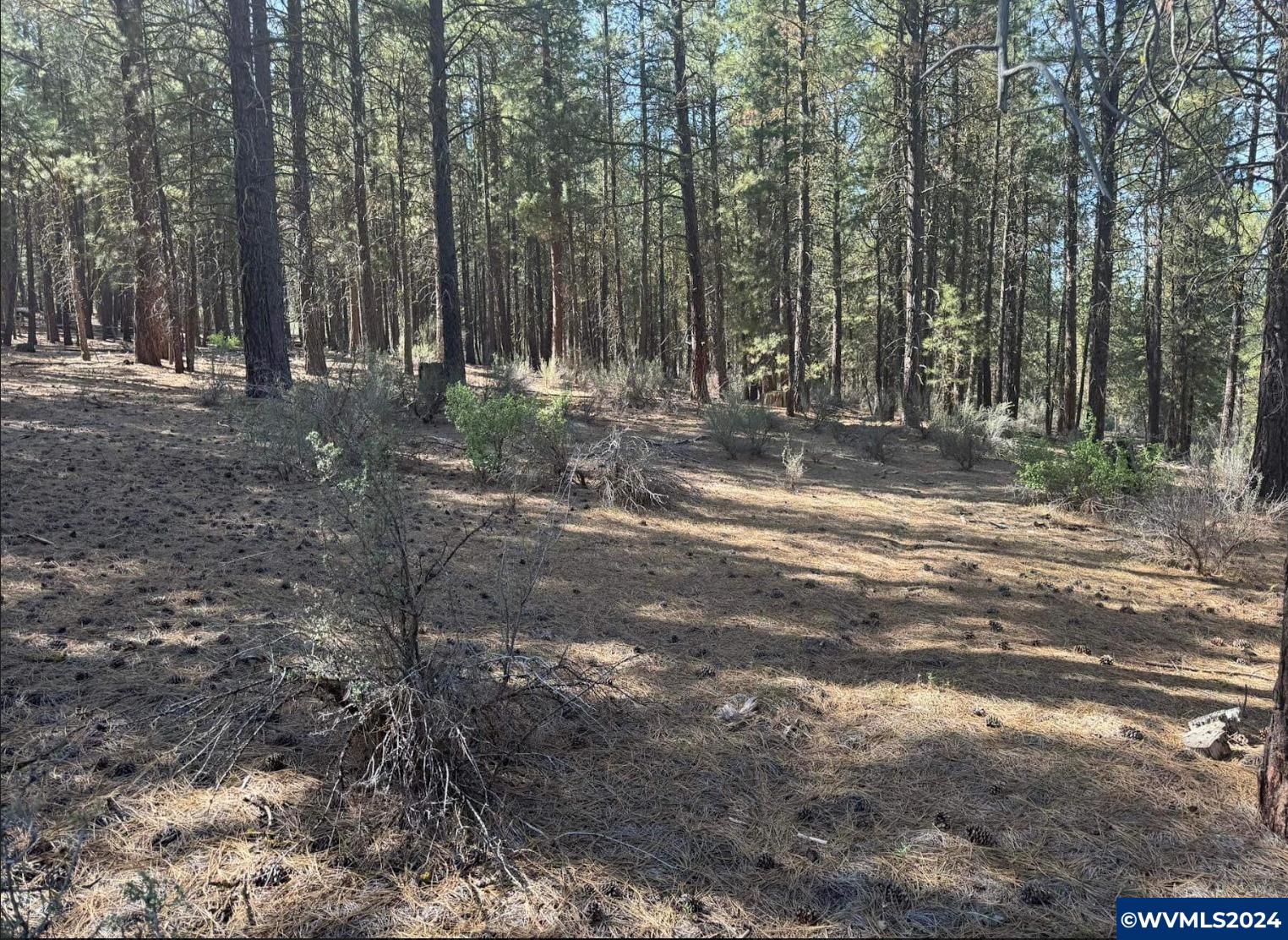 Lot 3 North Waterview Way Chiloquin, OR 97624 - Photo 7 of 8