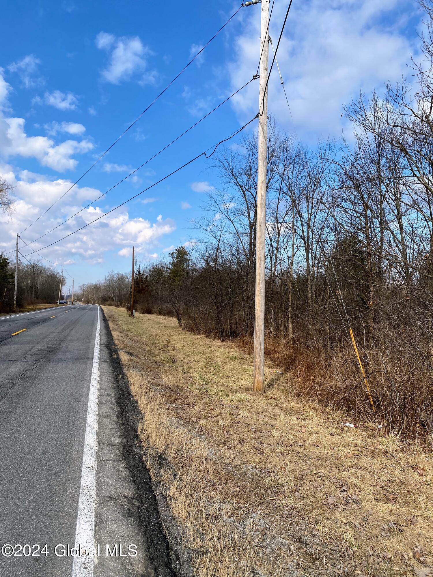 890 Alt-Voorh Road Altamont, NY 12009 - Photo 11 of 11 IMG_5571