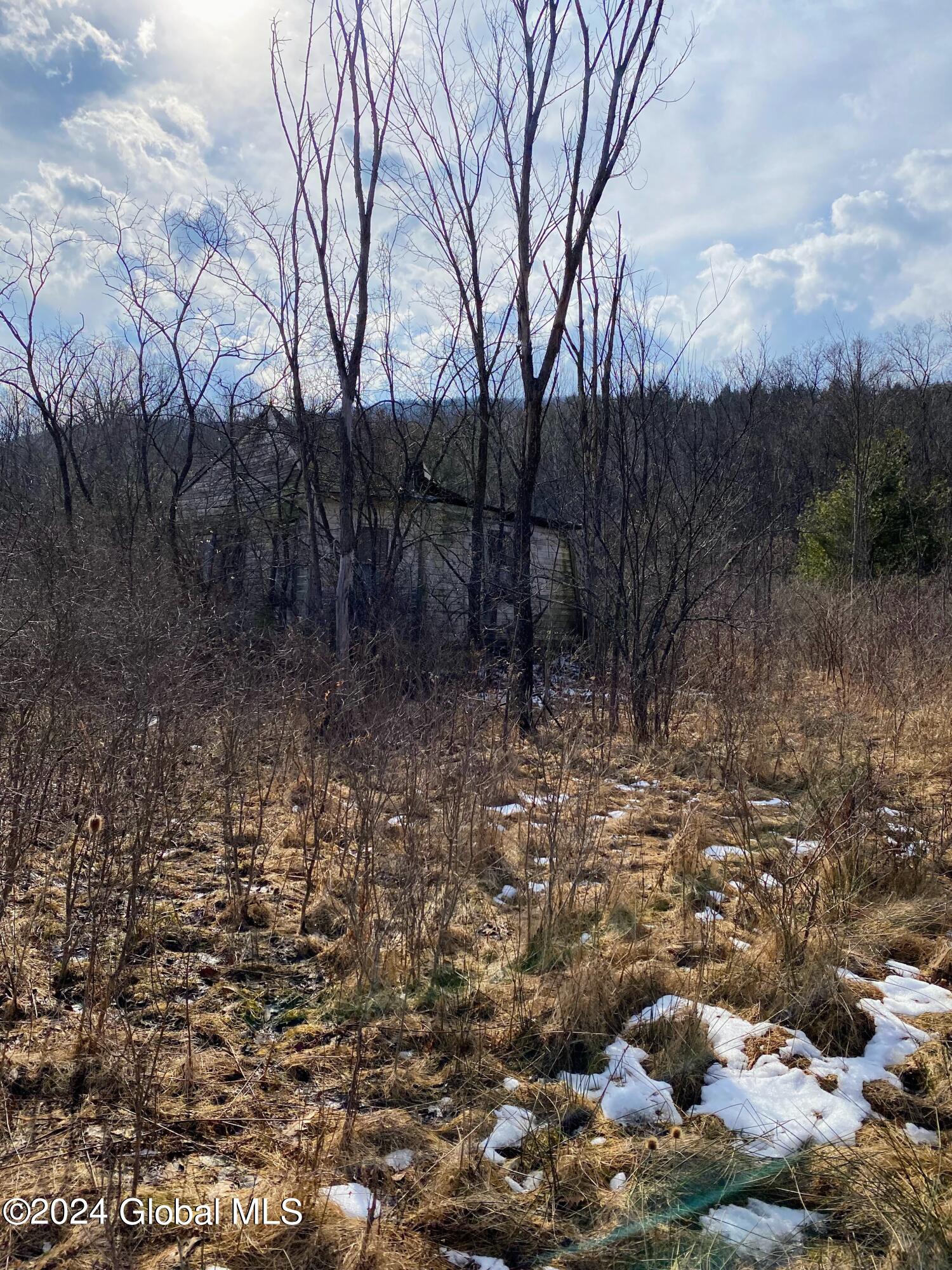 890 Alt-Voorh Road Altamont, NY 12009 - Photo 2 of 11 IMG_5573