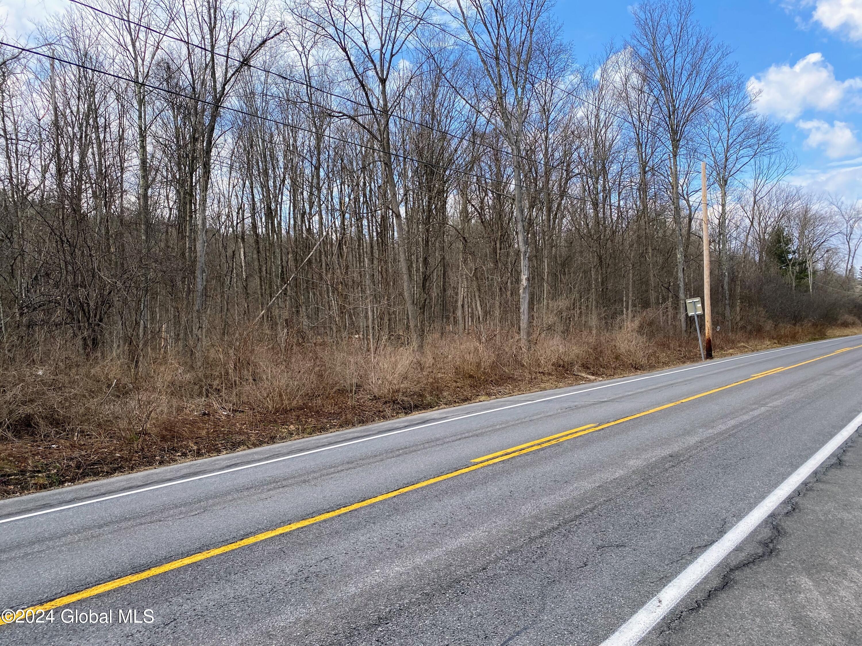 890 Alt-Voorh Road Altamont, NY 12009 - Photo 4 of 11 IMG_5564