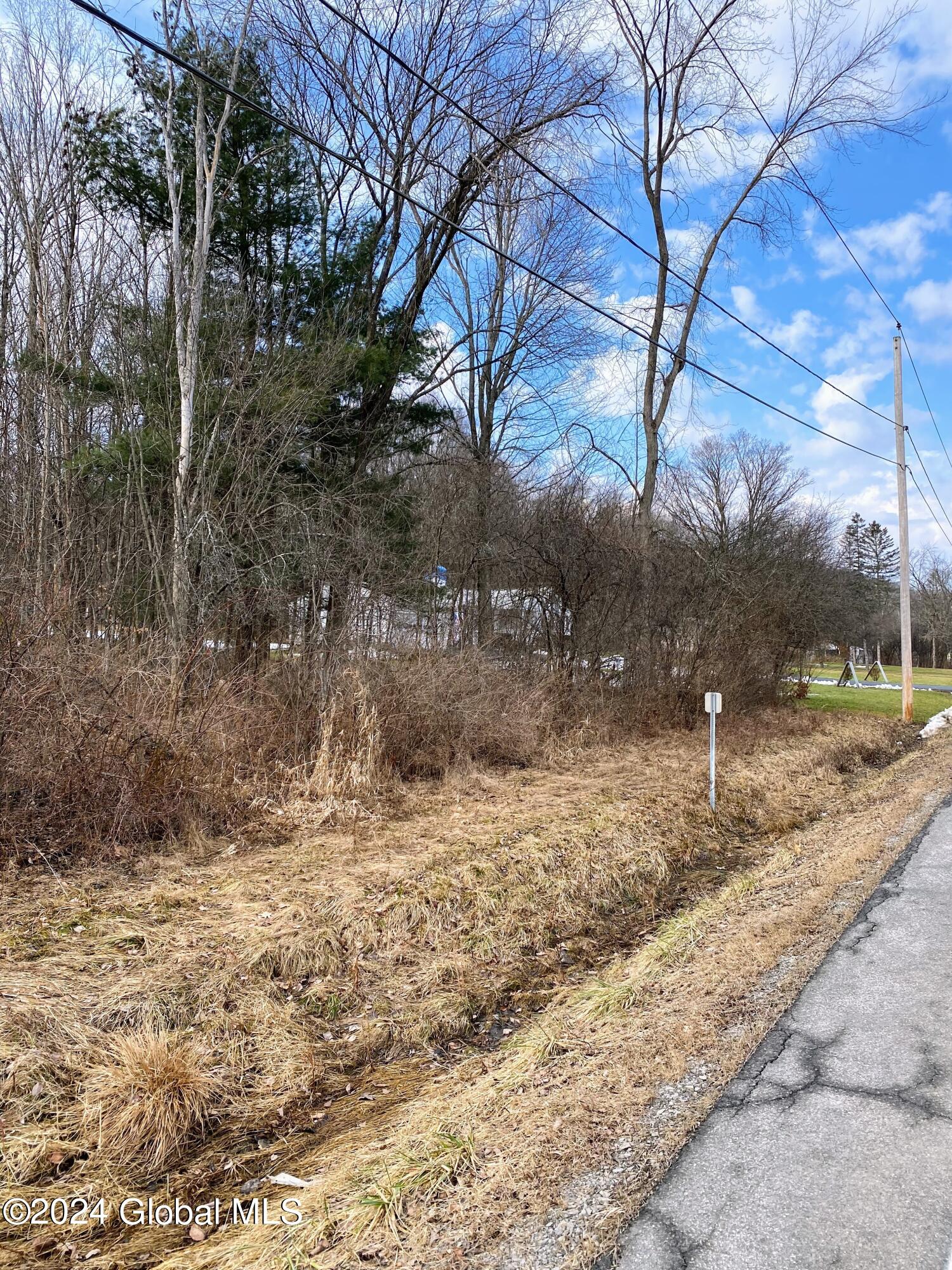 890 Alt-Voorh Road Altamont, NY 12009 - Photo 5 of 11 IMG_5563