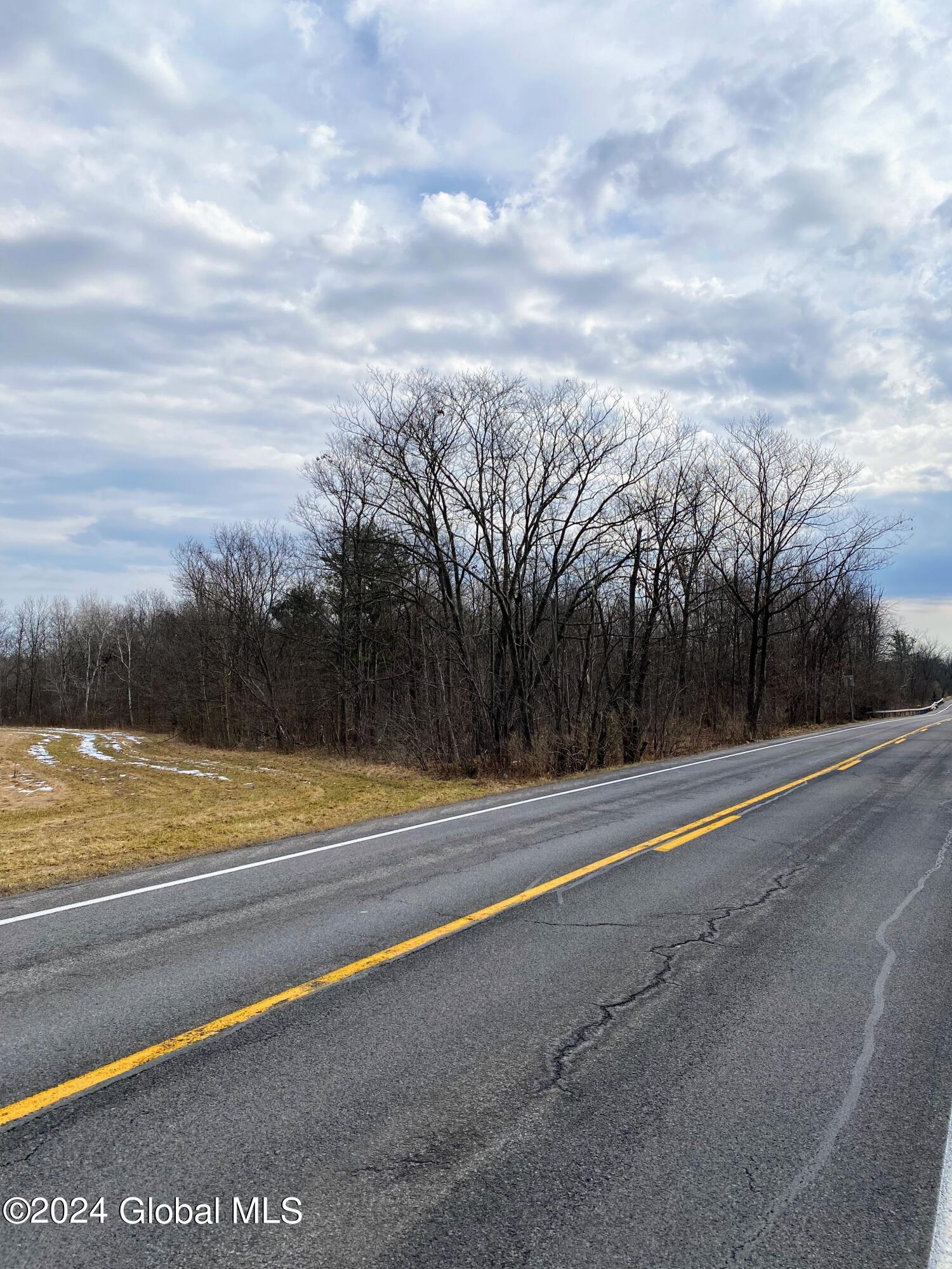 890 Alt-Voorh Road Altamont, NY 12009 - Photo 6 of 11 IMG_5562