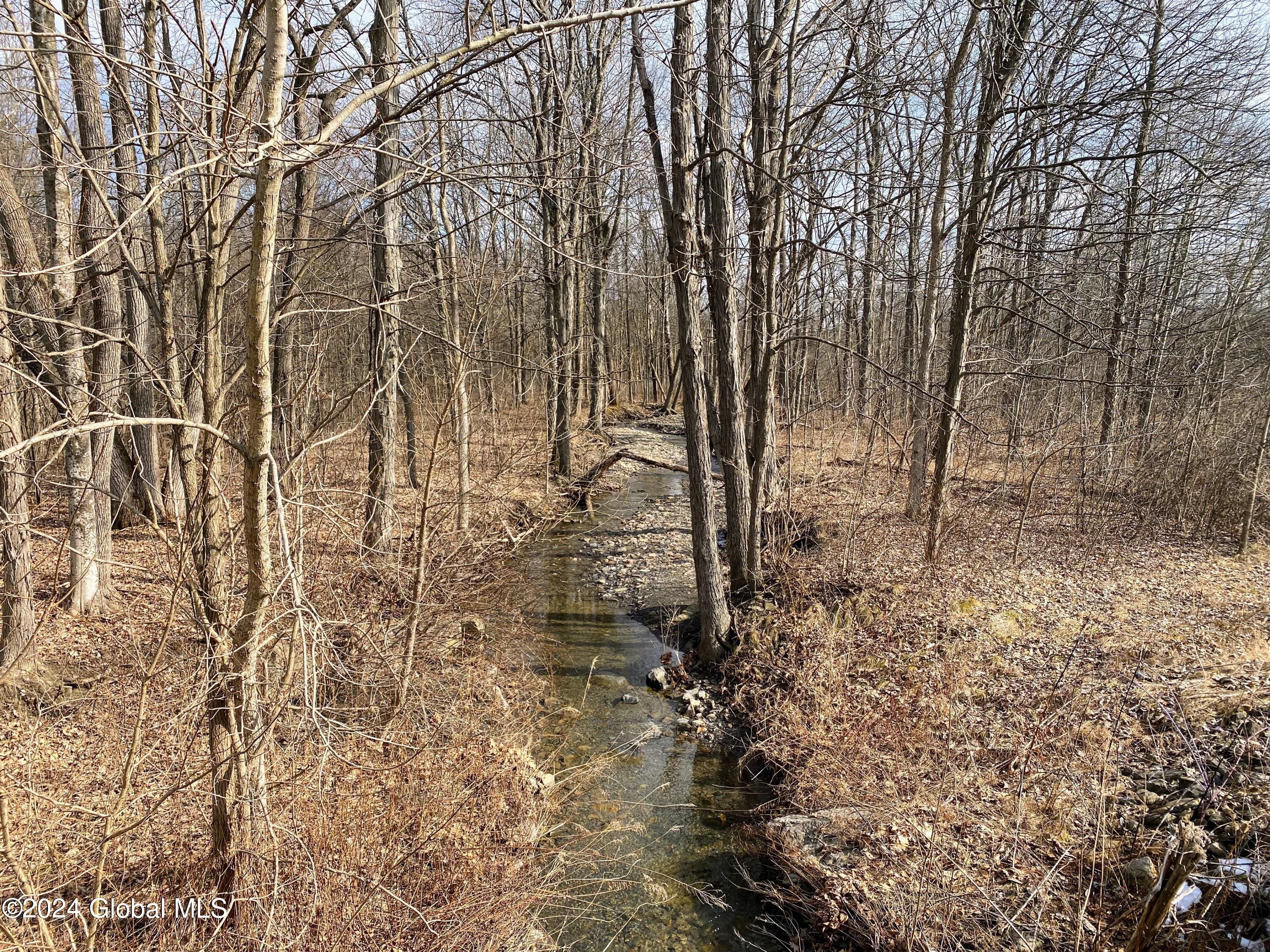 890 Alt-Voorh Road Altamont, NY 12009 - Photo 7 of 11 IMG_5566