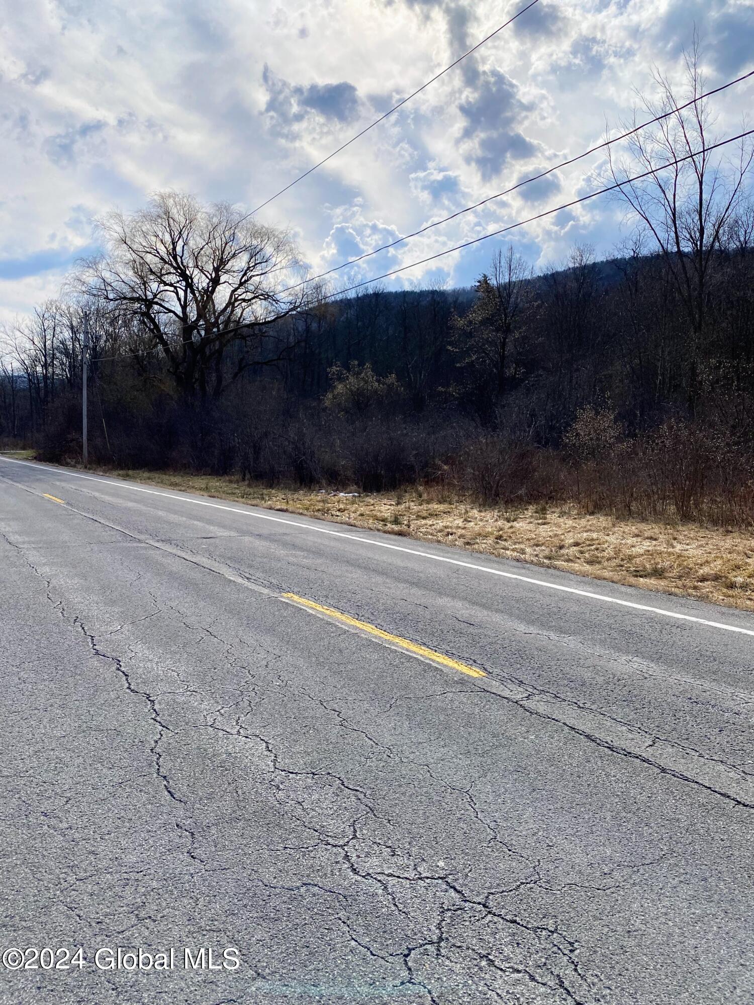 890 Alt-Voorh Road Altamont, NY 12009 - Photo 8 of 11 IMG_5567