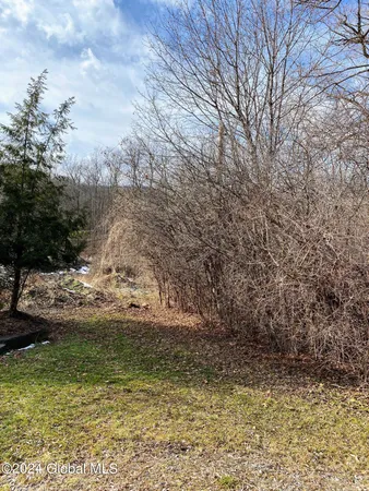 $300,000 | 890 Alt-Voorh Road, Altamont, NY 12009