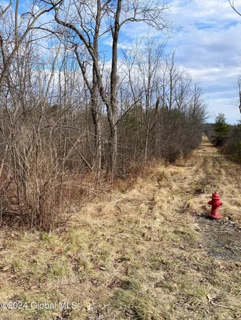 $300,000 | 890 Alt-Voorh Road, Altamont, NY 12009